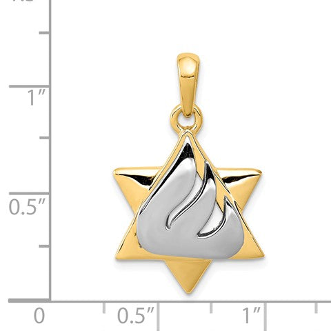 14KT White and Yellow Gold 30X18MM Star Of David Pendant. Chain Not Included Fashion