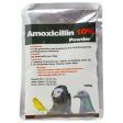 Amoxicillin 10% Online now