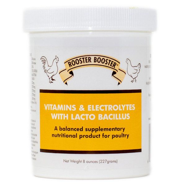 Vitamins & Electrolytes with Lactobacillus For Cheap