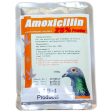 Amoxicillin 25% Powder Generic For Discount